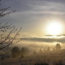 Схема вышивки «68769»