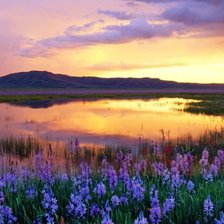 Схема вышивки «65654»