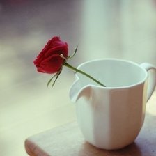 Схема вышивки «роза в чашке»