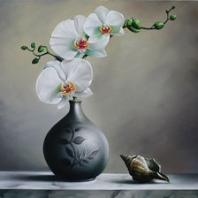 Схема вышивки «№192874»