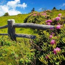 Схема вышивки «56986»