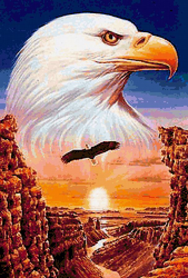 стервятник - птица, скалы, природа - предпросмотр