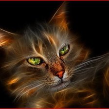 Схема вышивки «огненный кот»