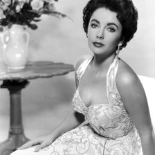 Схема вышивки «Элизабет Тейлор»