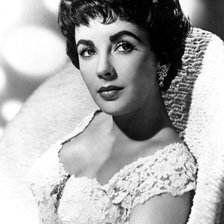 Схема вышивки «Элизабет Тейлор»