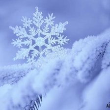 Схема вышивки «№193123»