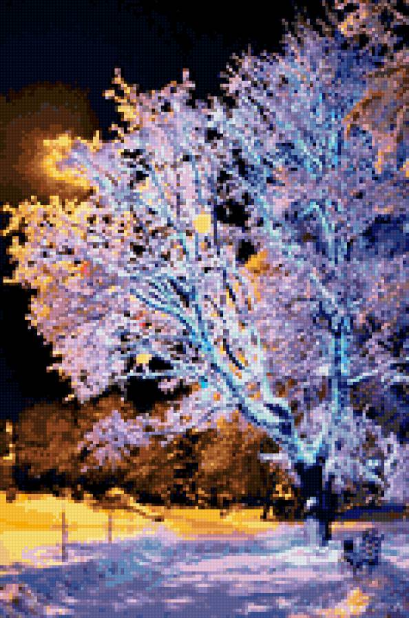 Зимний вечер - дерево парк зима вечер - предпросмотр