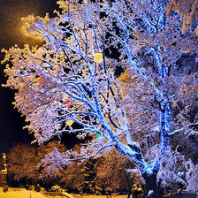 Схема вышивки «Зимний вечер»