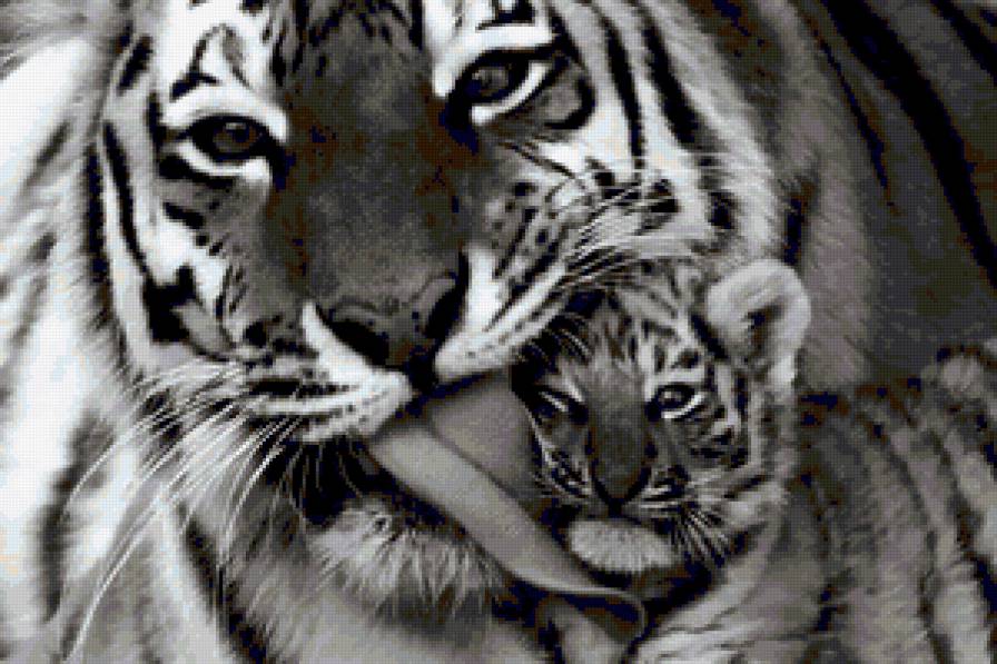 Рядом с мамочкой - рядом с мамочкой, тигры, дикие кошки, животные, тигренок, малыши - предпросмотр