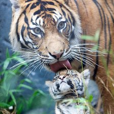 Схема вышивки «Рядом с мамочкой»