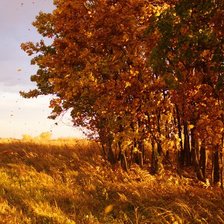 Схема вышивки «Золотая осень»