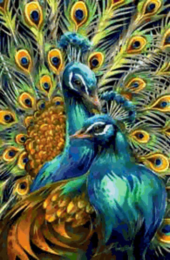 пара - павлин, павлины, птицы - предпросмотр