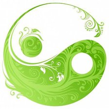 Схема вышивки «Инь Янь»