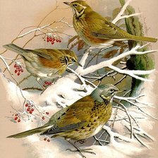 Схема вышивки «№193373»