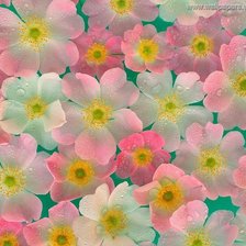 Схема вышивки «Цветы»