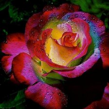 Схема вышивки «Игра цветов»