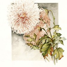 Схема вышивки «№193474»