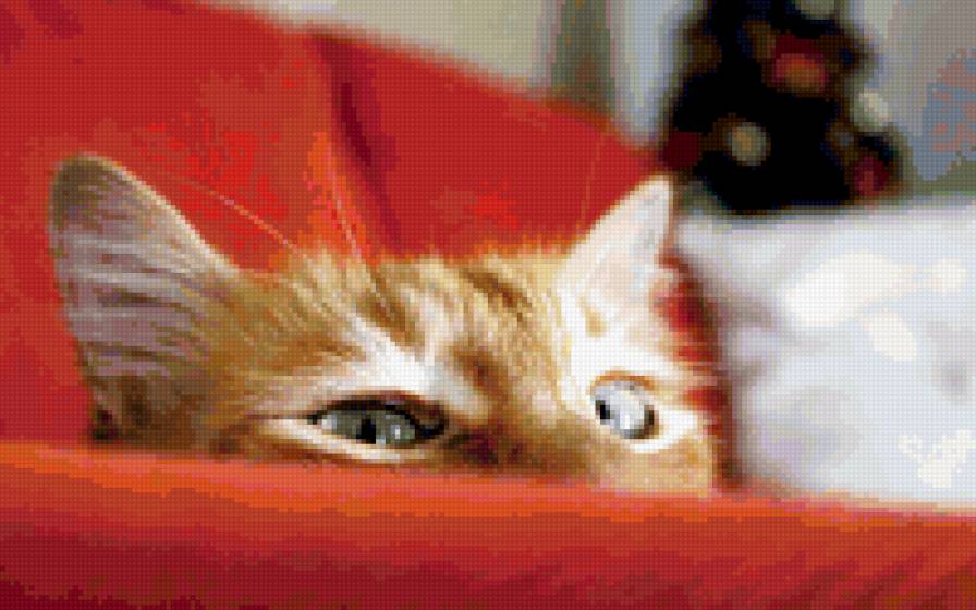 №193478 - котик - предпросмотр