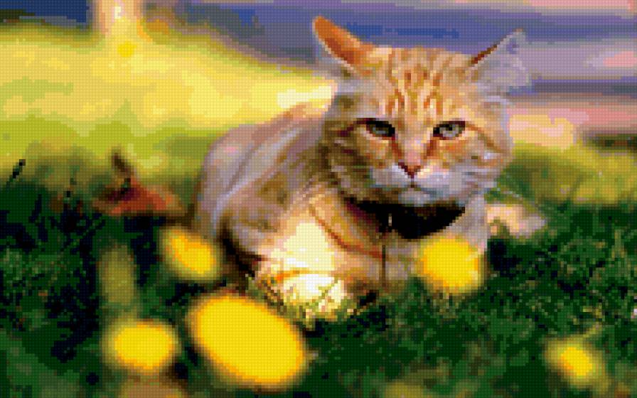 котяра - кот - предпросмотр