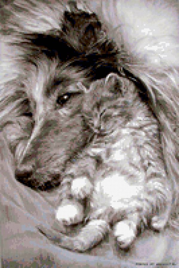 №193484 - животные - предпросмотр