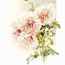 Схема вышивки «№193485»