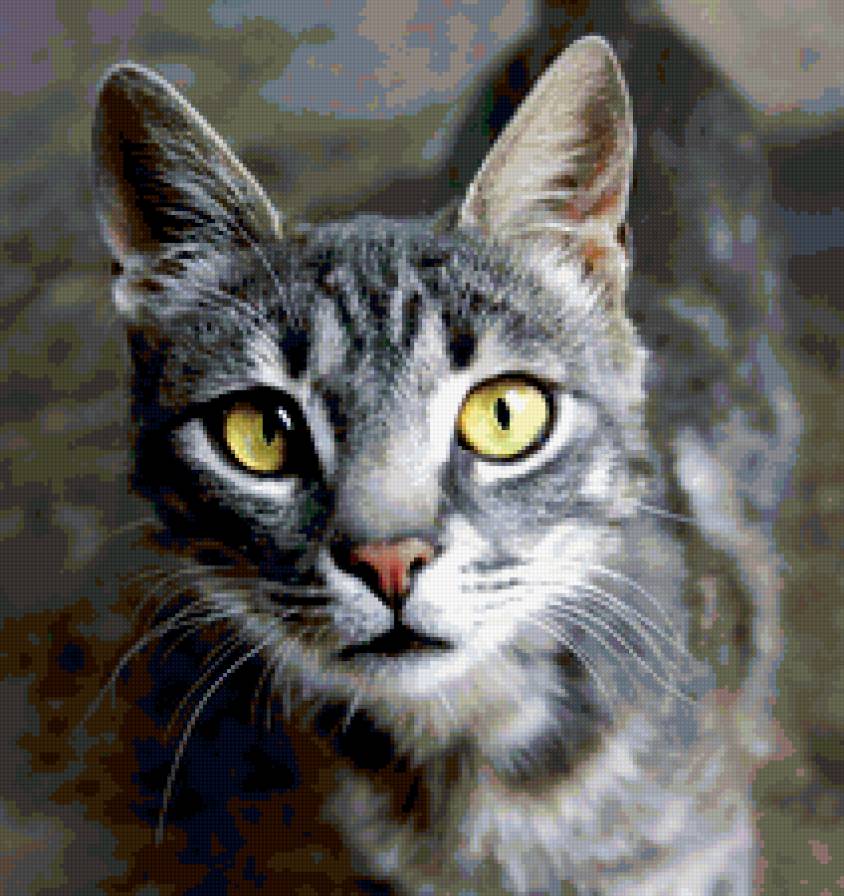 котик - коте, кот, котик, кошка - предпросмотр