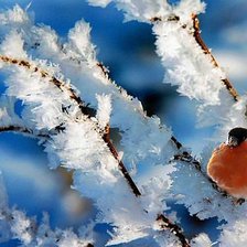 Схема вышивки «Синичка»