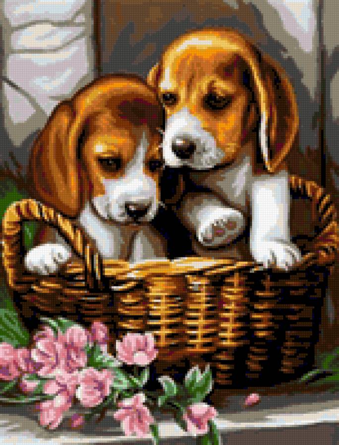 Малыши - щенки, собачки, собака, собаки, животные, малыши, цветы - предпросмотр