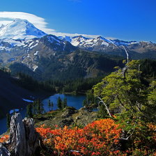 Схема вышивки «природа»