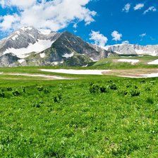 Схема вышивки «природа»