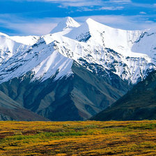 Схема вышивки «природа»