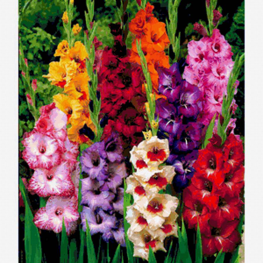 №193773 - цветы - предпросмотр