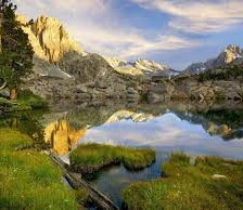 Схема вышивки «природа»