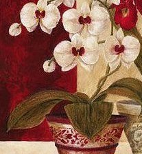 Схема вышивки «№193932»