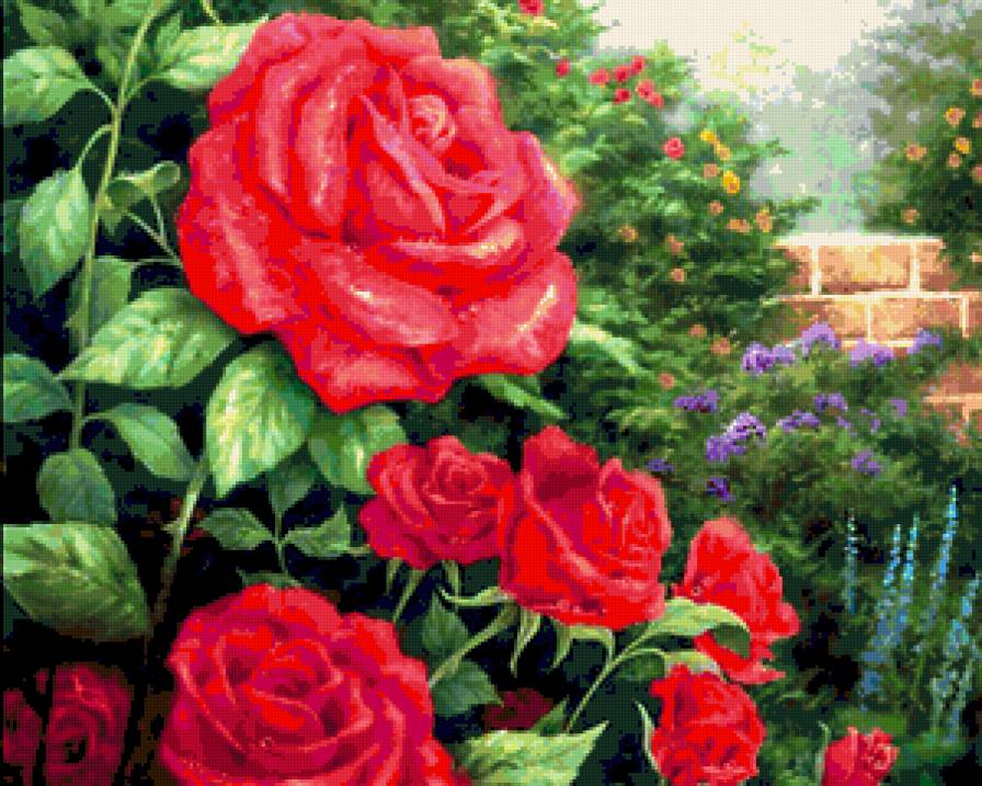 розы - цветы - предпросмотр