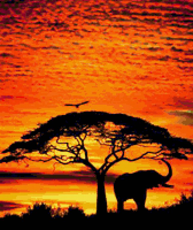 Африка - предпросмотр