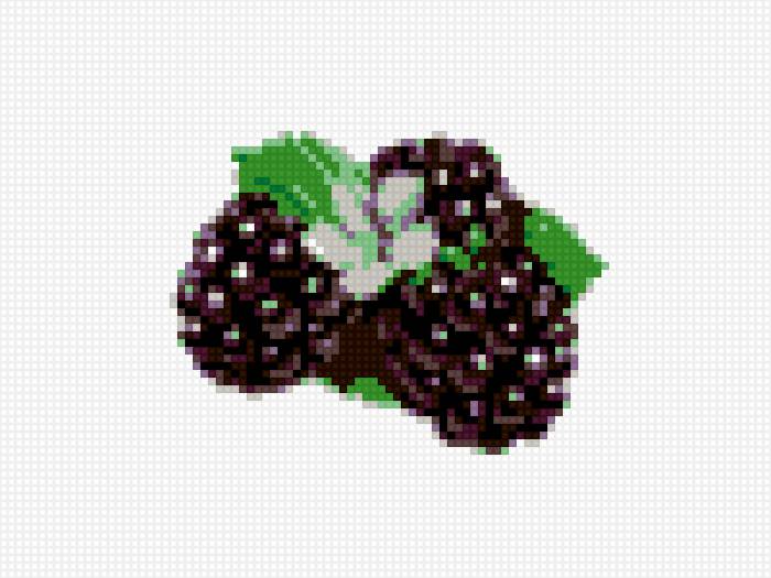 ежевика - ежевика, для кухни, ягода - предпросмотр