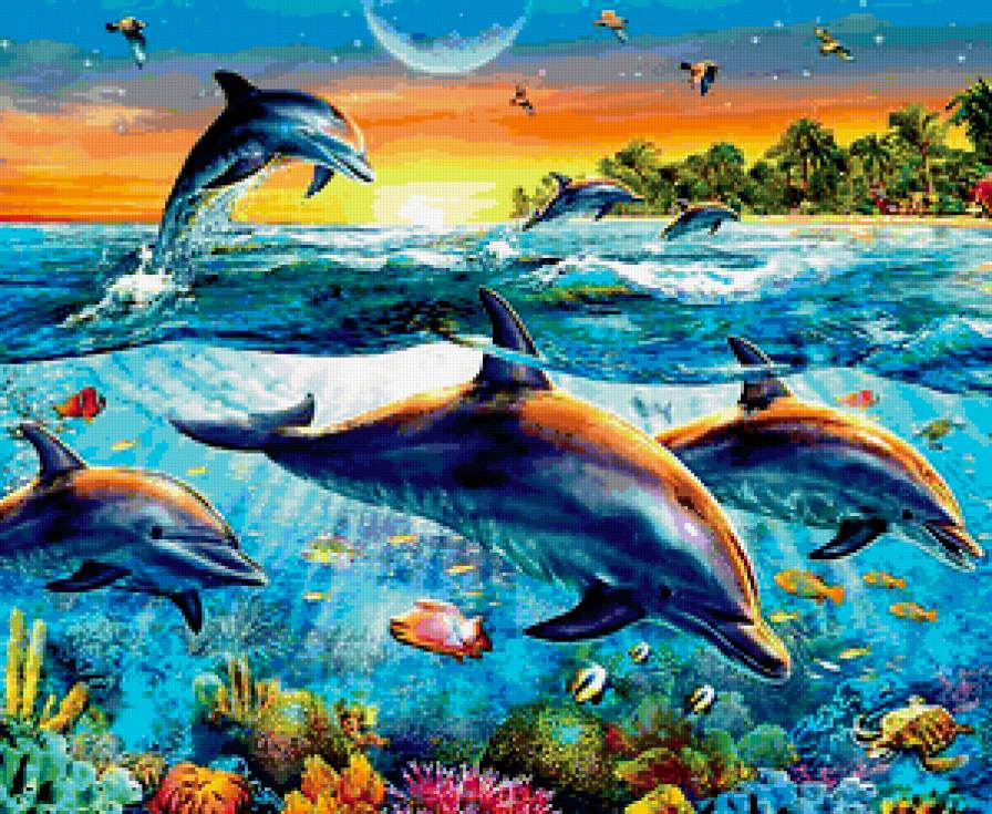 Резвящиеся дельфины - тропики, море, дельфины - предпросмотр