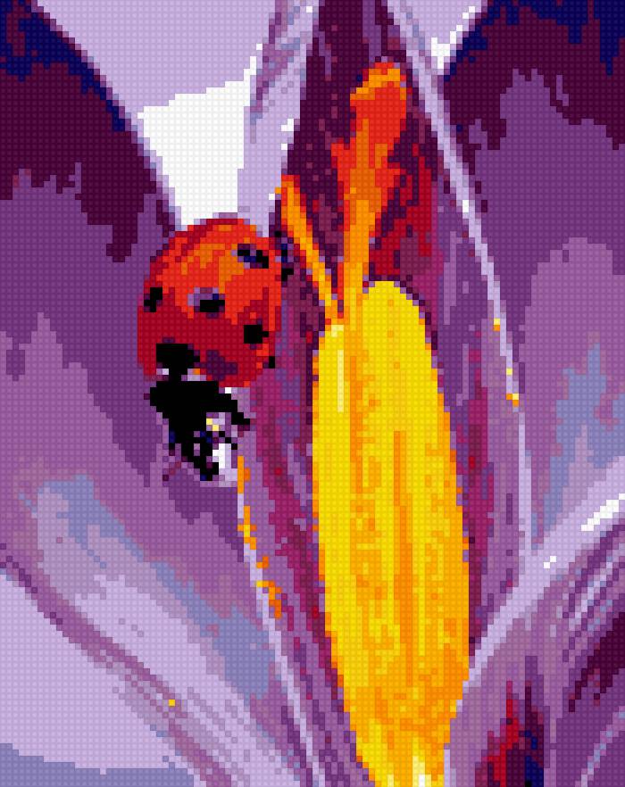 БОЖЬЯ КОРОВКА - цветы, божья коровка, насекомые - предпросмотр