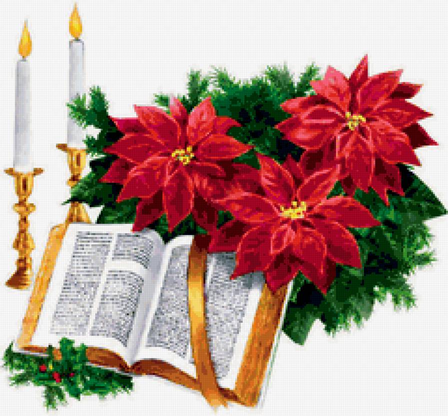 натюрморт - романтика, , природа, цветы, натюрморт, букет - предпросмотр