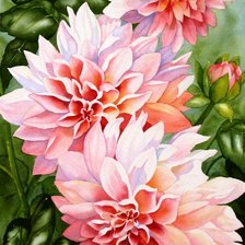 Схема вышивки «Георгины»