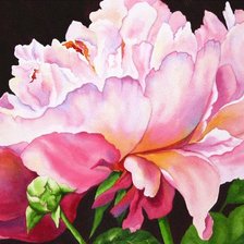 Схема вышивки «Розовый пион»