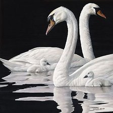 Схема вышивки «Лебединная семья»