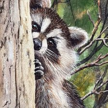 Схема вышивки «Енот»