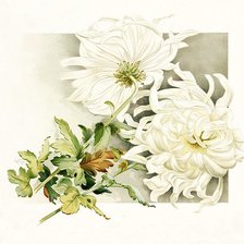 Схема вышивки «№194299»