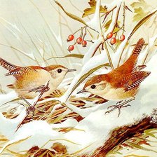 Схема вышивки «№194308»