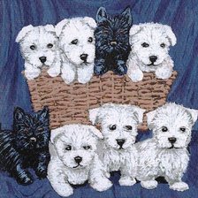 Схема вышивки «Щенки»