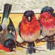 Схема вышивки «Снегири»