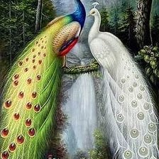 Схема вышивки «павлины»