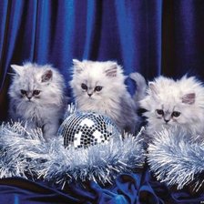 Схема вышивки «№194419»